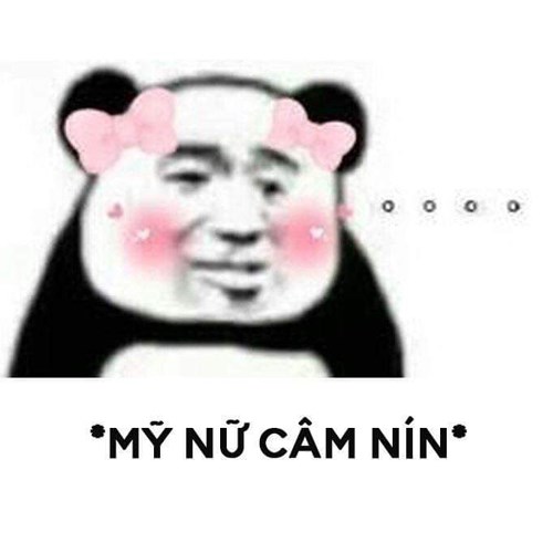 Meme gấu trúc - mỹ nữ câm nín