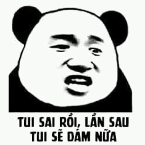 Meme gấu trúc - lần sau sẽ dám nữa