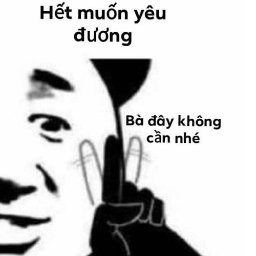 Meme gấu trúc - hết muốn iu đương