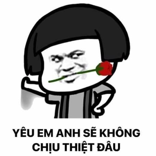 Meme gấu trúc -  tán tỉnh