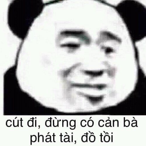 Meme gấu trúc - giận