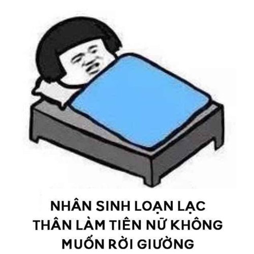 Meme gấu trúc - tiên nữ