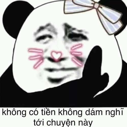 Meme gấu trúc - không có tiền