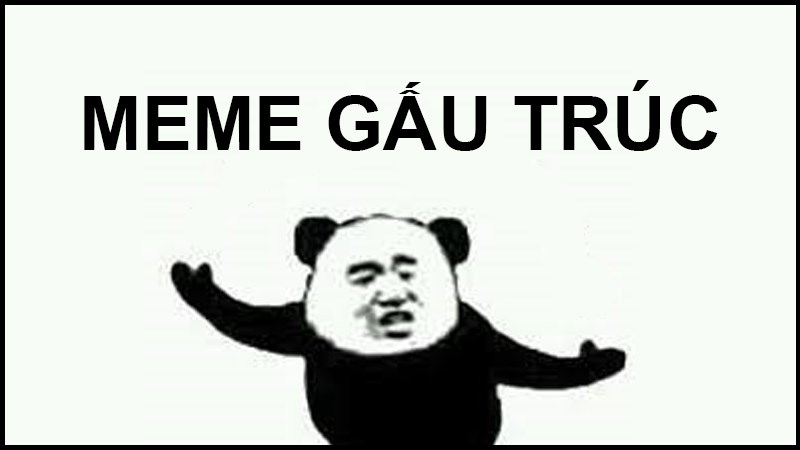 Tổng hợp meme gấu trúc bựa, hài, ngộ nghĩnh, đáng yêu, tức giận