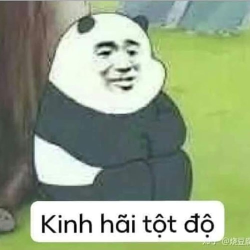 Meme gấu trúc - kinh hãi tột độ