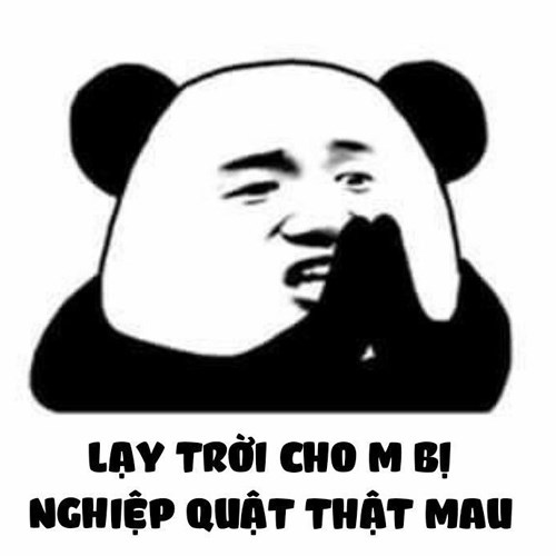 Meme gấu trúc - nghiệp quật