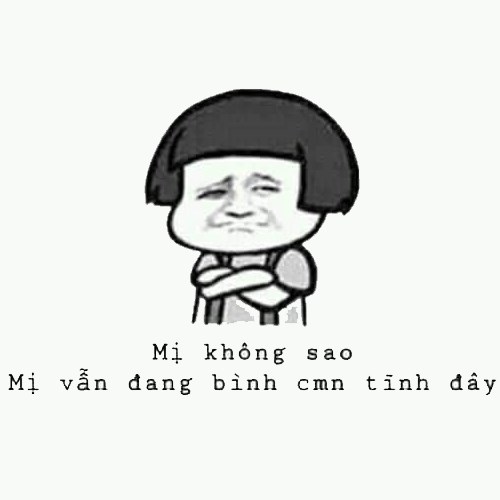 Meme gấu trúc - bình tĩnh