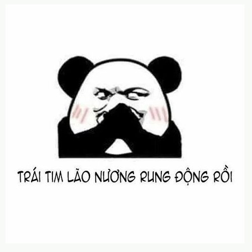 Meme gấu trúc - trái tim rung động