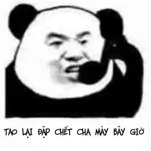 Meme gấu trúc - đập