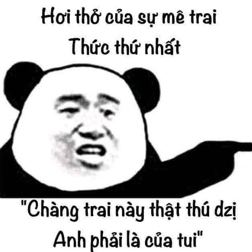 Meme gấu trúc - chàng trai này thật thú vị