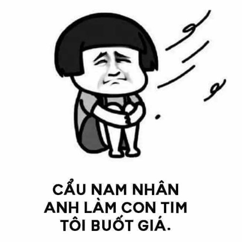 Meme gấu trúc -  con tim buốt giá