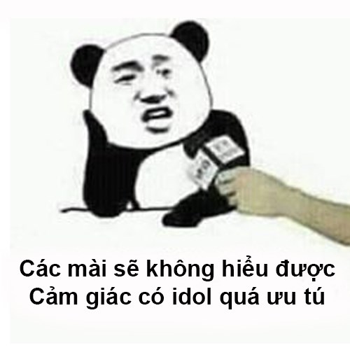 Meme gấu trúc - idol ưu tú