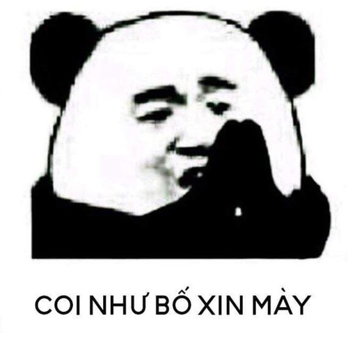 Meme gấu trúc - bố xin mày