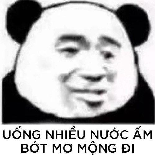 Meme gấu trúc -  bớt mơ mộng