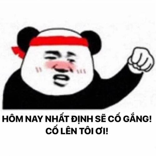 Meme gấu trúc - cố lên tôi ơi