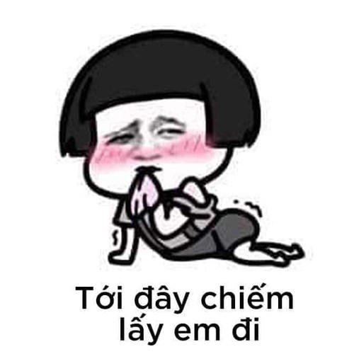 Meme gấu trúc - tới đây, chiếm lấy em đi