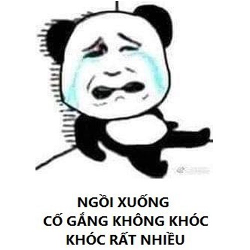 Meme gấu trúc - khóc rất nhiều