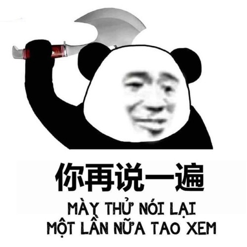 Meme gấu trúc - thử nói lại xem