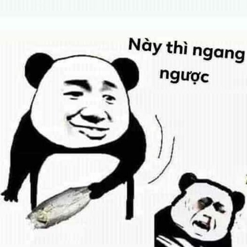 Meme gấu trúc - này thì ngang ngược