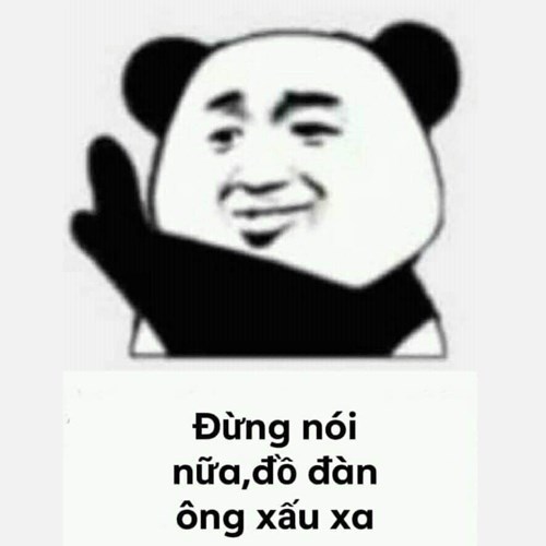 Meme gấu trúc - đừng nói nữa