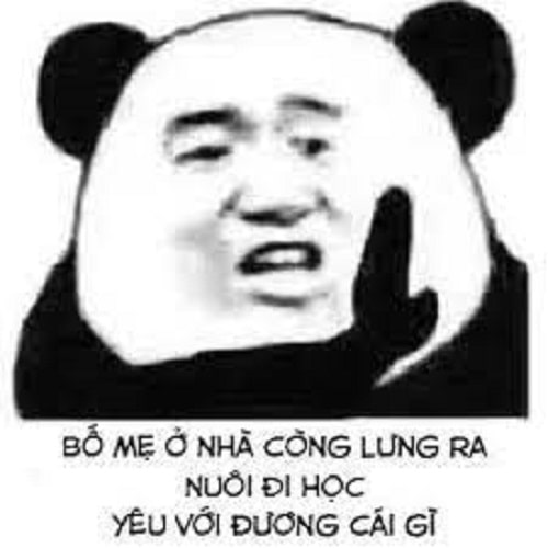 Bố mẹ ở nhà còng lưng ra làm, yêu với đương cái gì - meme