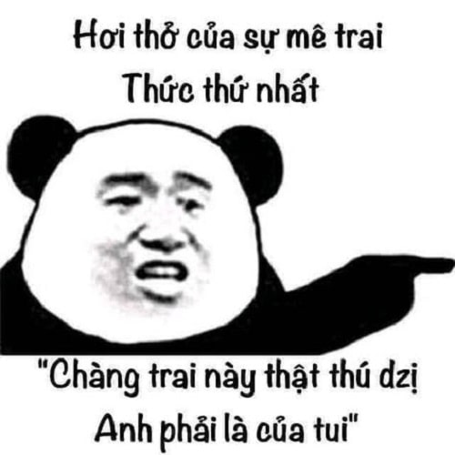 Meme gấu trúc: Chàng trai này thật thú dzị, anh phải là của tui