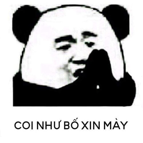 Meme coi như bố xin mày