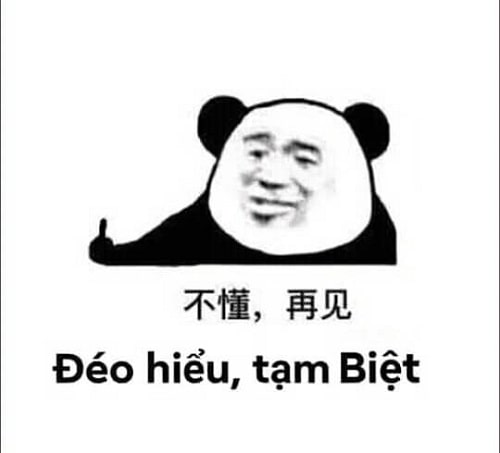 Meme gấu trúc: Đéo hiểu, tạm biệt