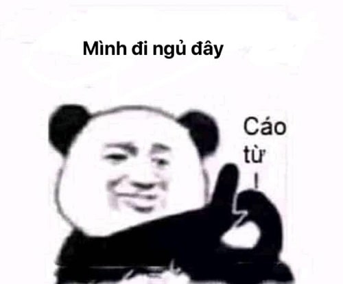 Gấu trúc nói mình đi ngủ đây cáo từ meme