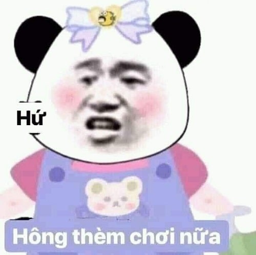 Meme gấu trúc bựa: Hông thèm chơi nữa