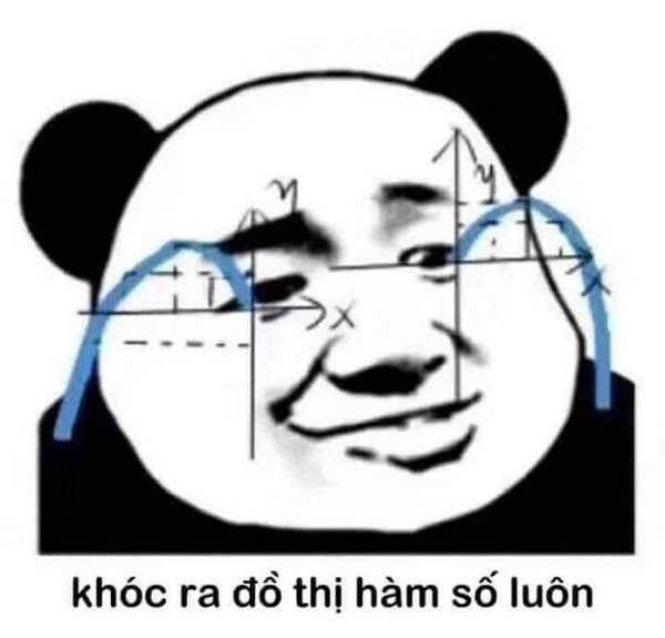 Meme gấu trúc khóc ra đồ thị hàm số