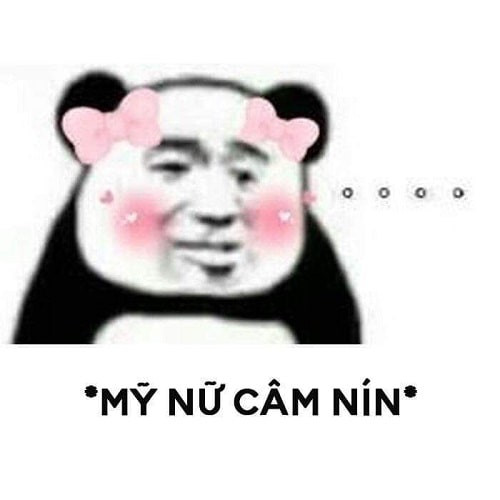 Meme mỹ nữ câm nín