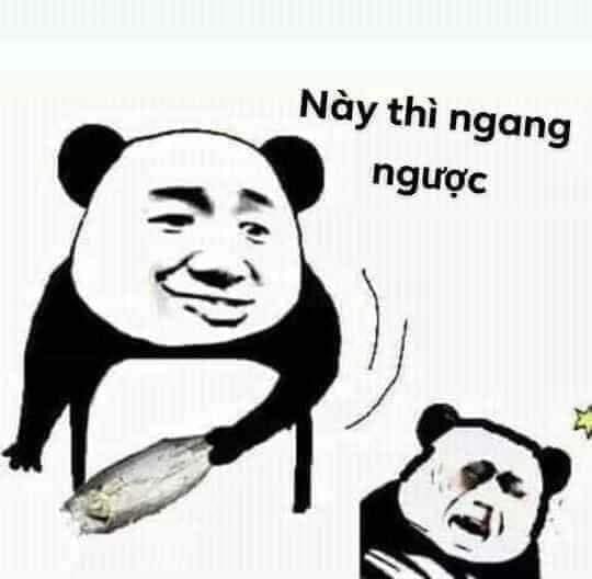 Meme gấu trúc đánh bạn nói: Này thì ngang ngược