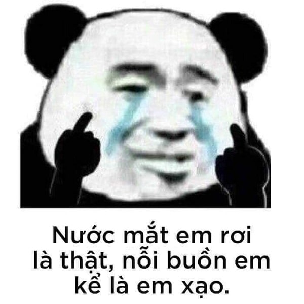 Nước mắt em rơi là thật - nỗi buồn em kể là xạo meme