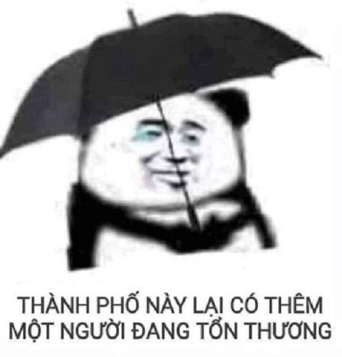 Meme panda hài hước: Thành phố này lại có thêm 1 người đang tổn thương