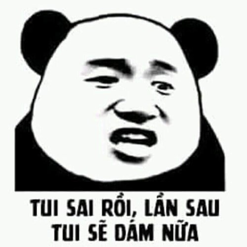 Hình ảnh meme gấu trúc Trung Quốc: Tui sai rồi, lần sau tui sẽ giám nữa